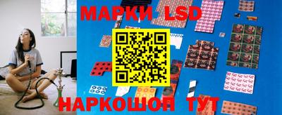 индика Вышний Волочёк