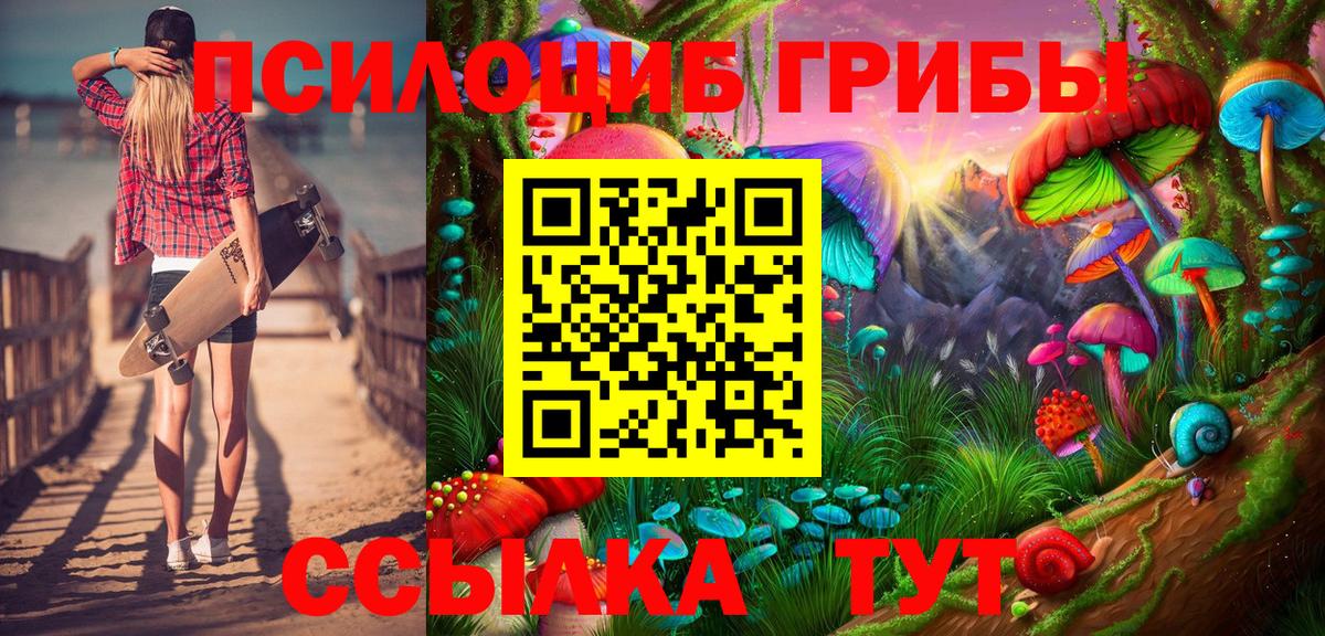 Галлюциногенные грибы Psilocybine cubensis Лесозаводск